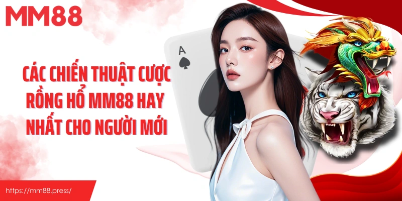Các chiến thuật cược Rồng Hổ MM88 hay nhất cho người mới